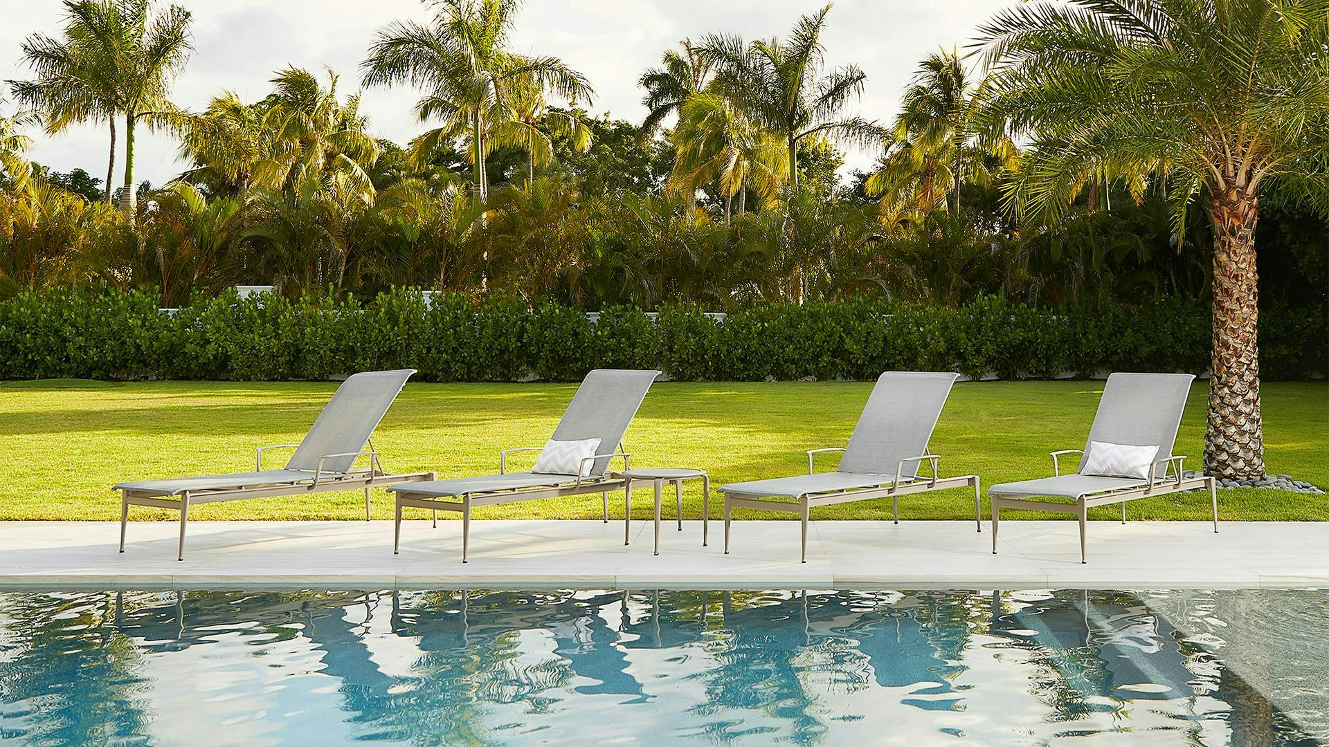 Flight Collection - Chaise lounge chairs next to a pool surrounded by palm trees.